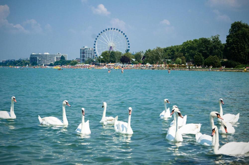 Siesta Sziget - Balaton-Parti Apartmanok Шиофок Экстерьер фото